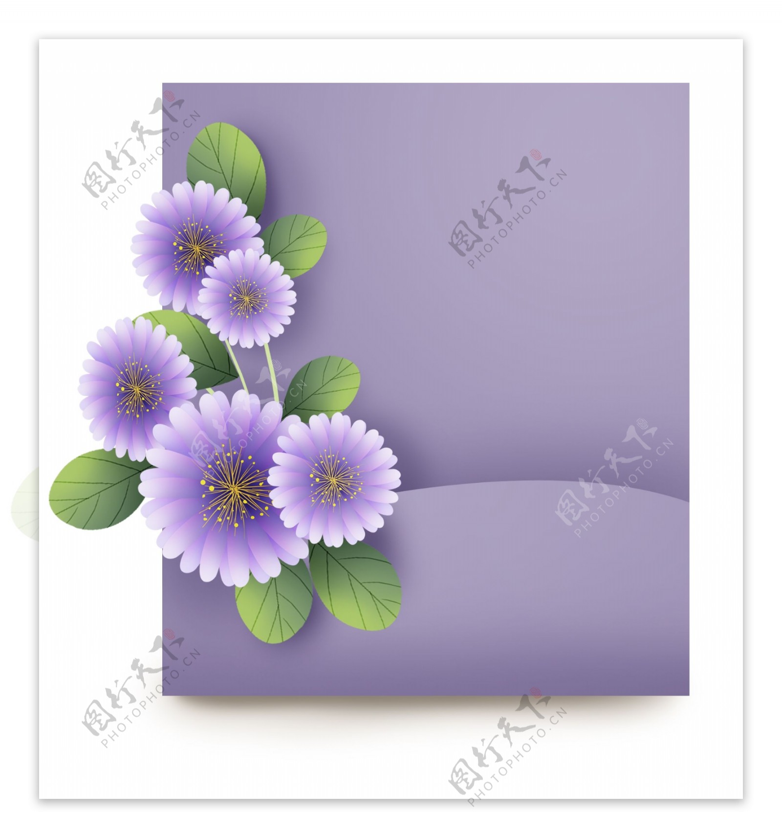 春天紫色菊花文字框