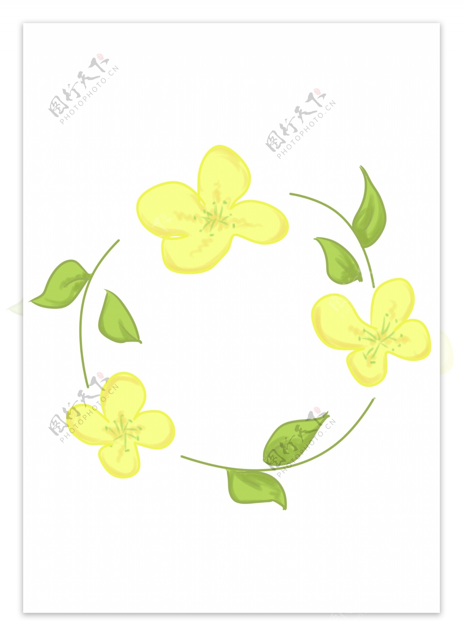 黄色油菜花环插图