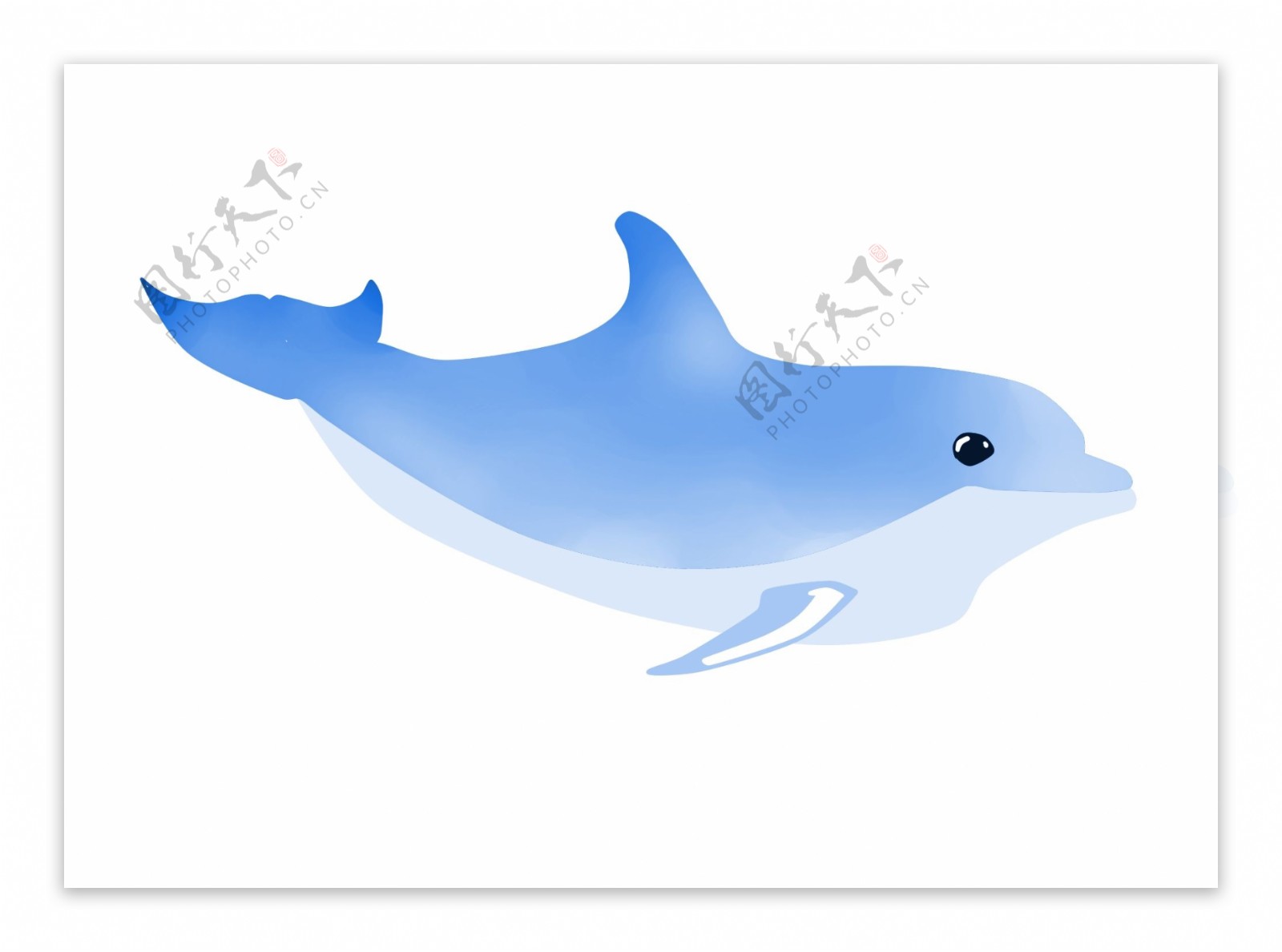 玩耍蓝色海豚