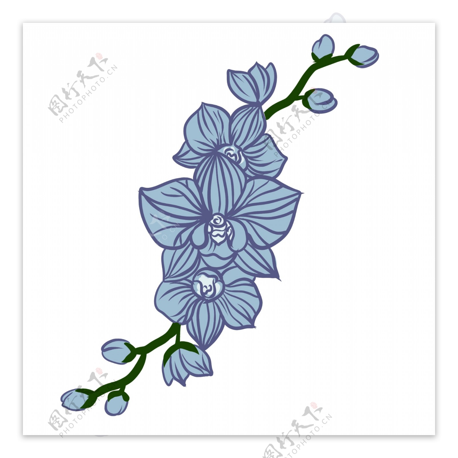 春季蓝色花瓣