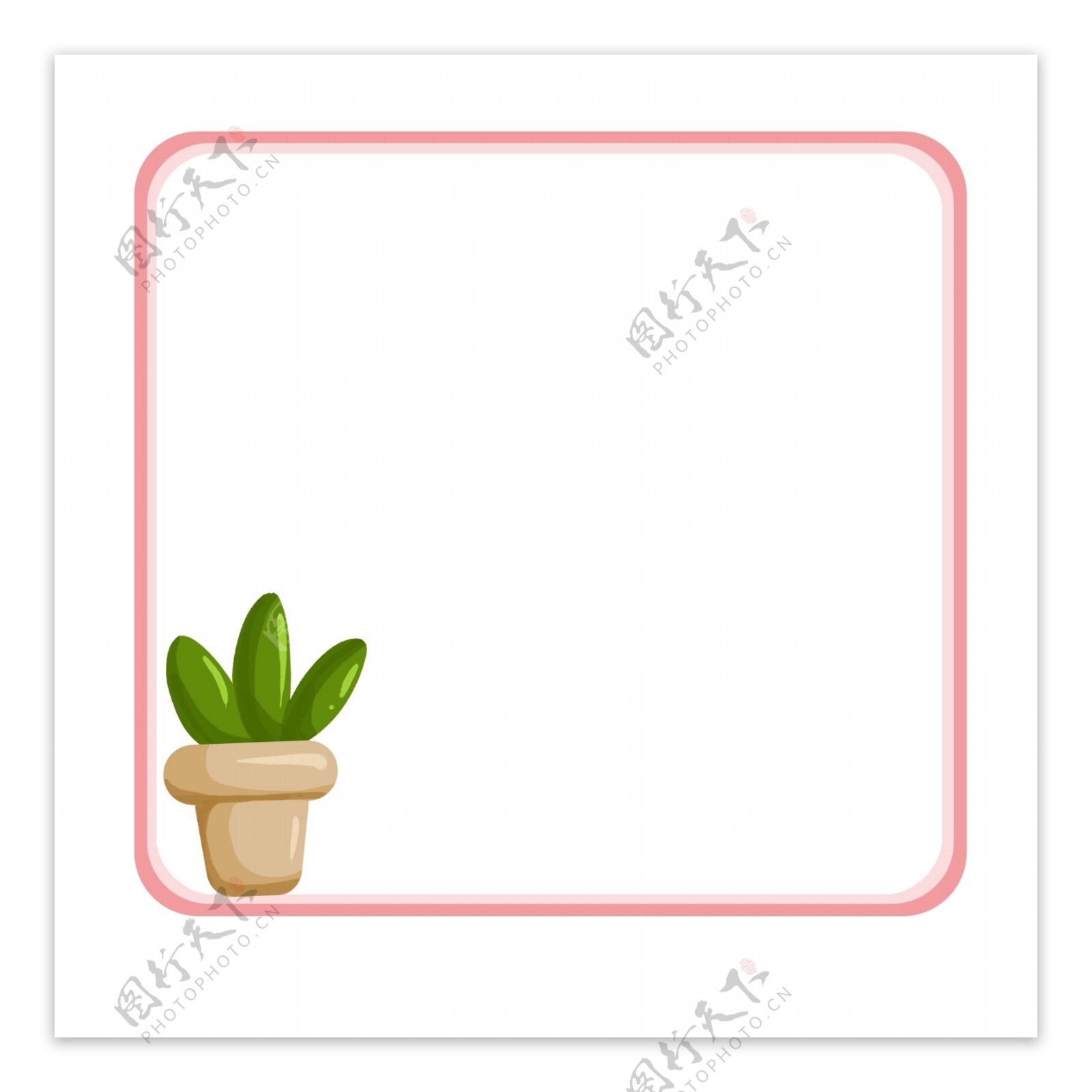 粉色的盆栽植物边框