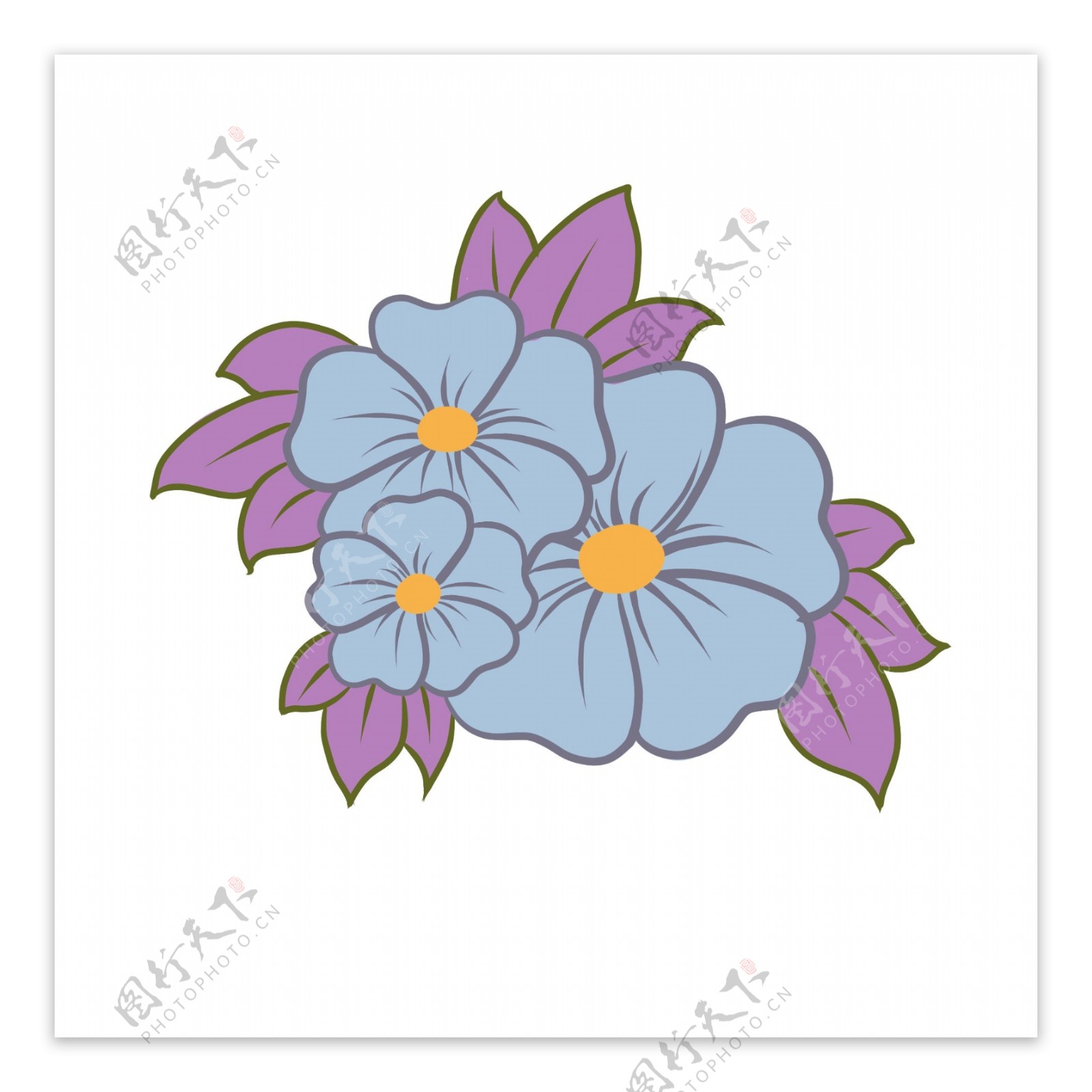 紫蓝色花朵植物