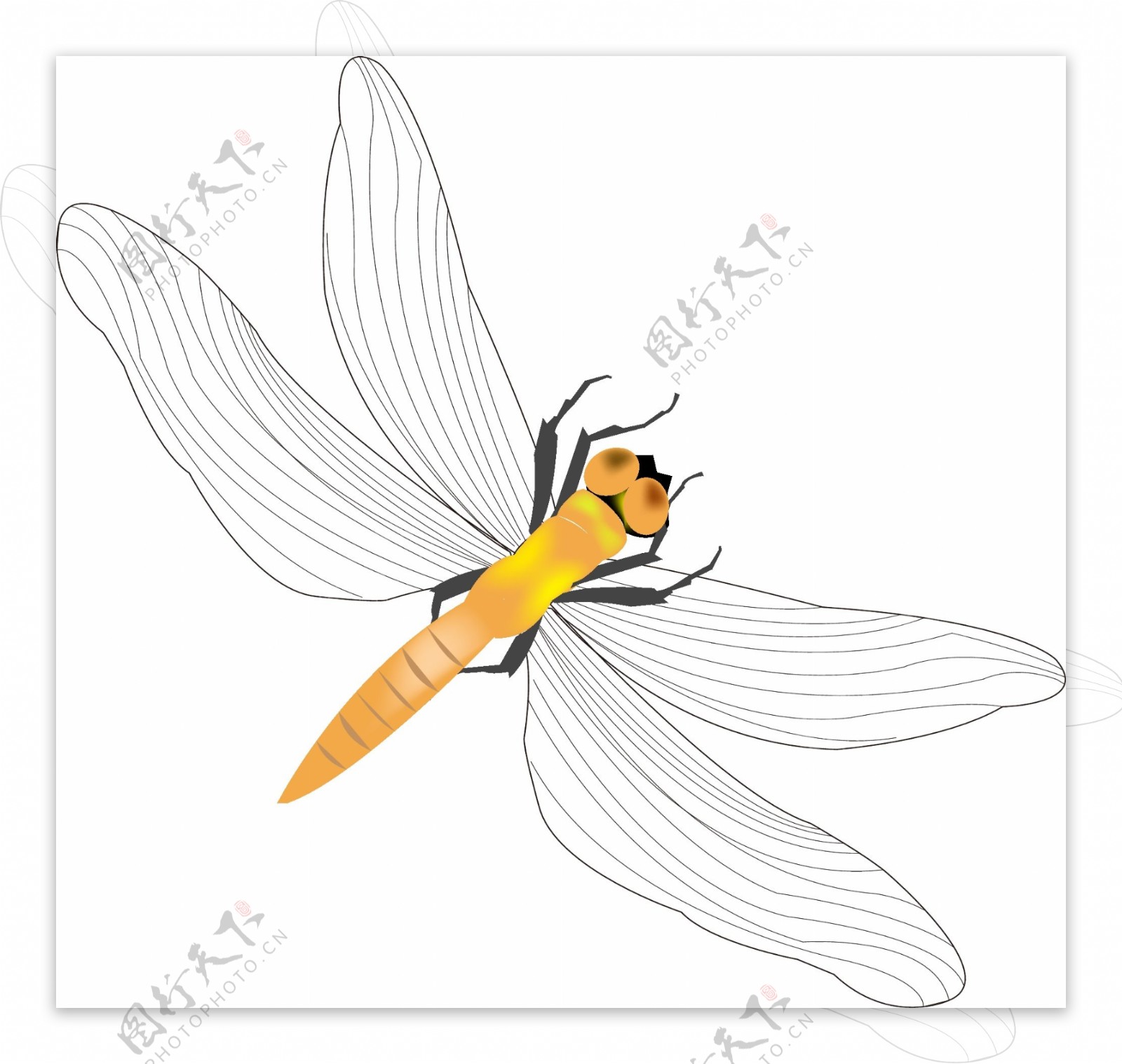 翅膀浅色系蜻蜓插画