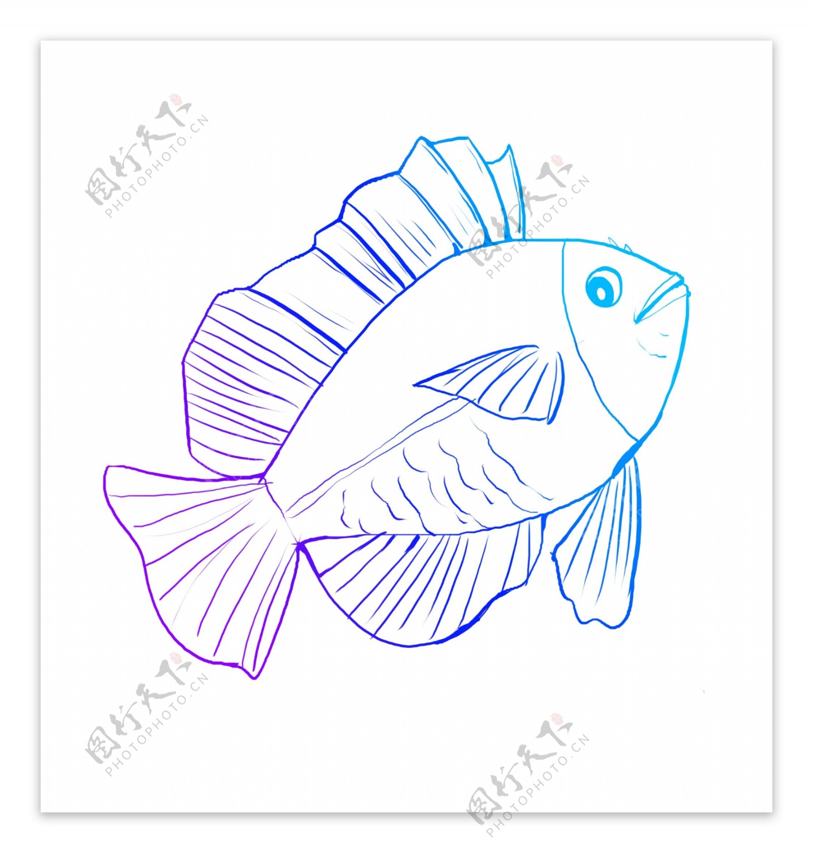 蓝色线描小鱼