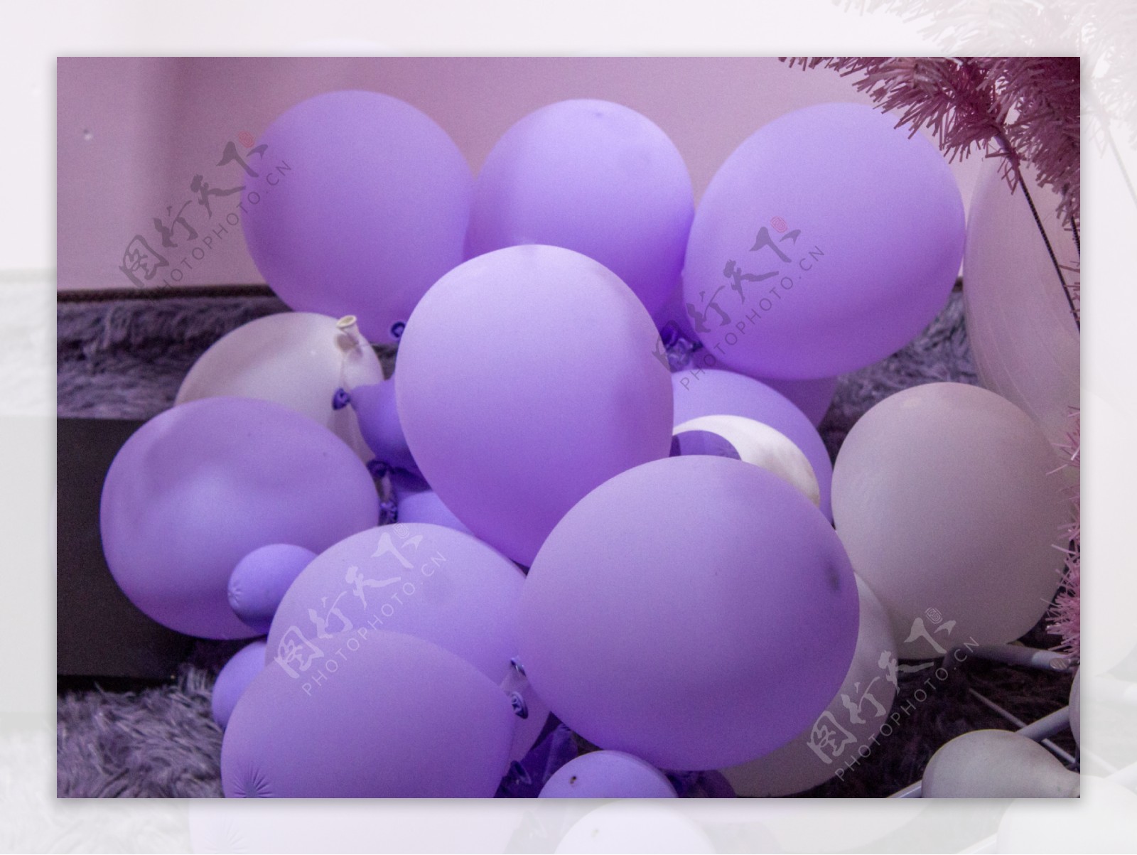 紫色的气球商用摄影