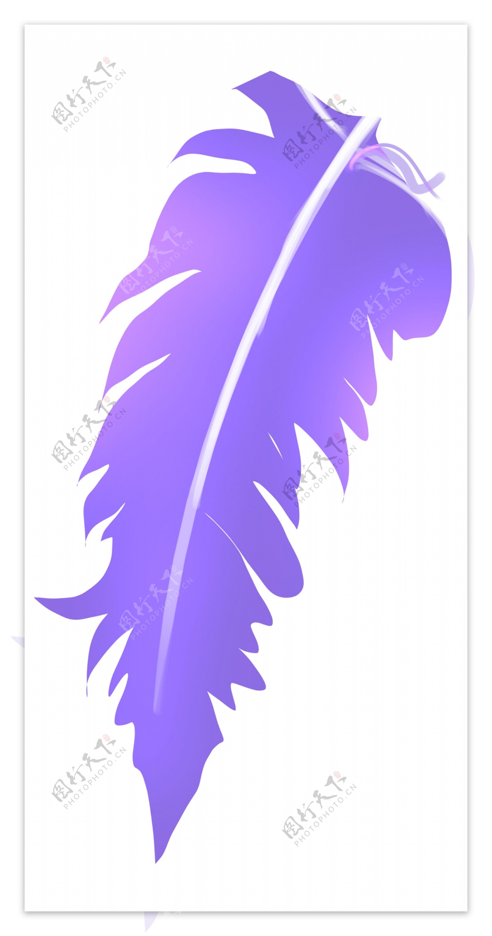紫色弯曲羽毛设计