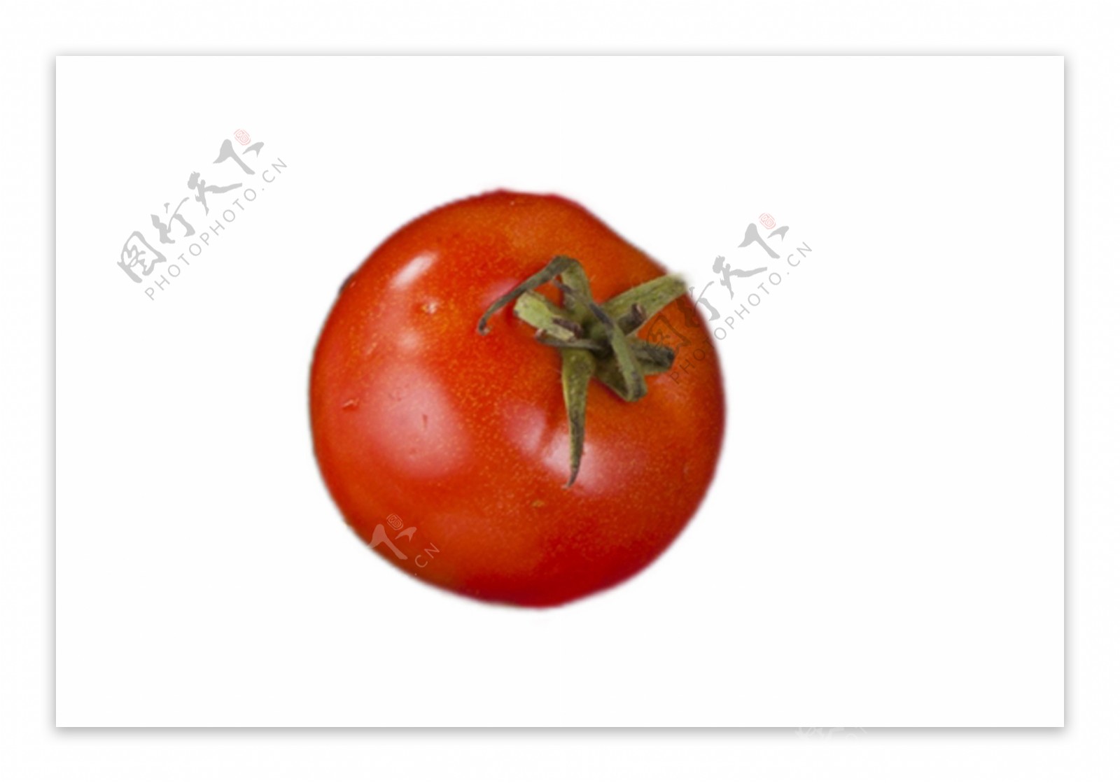 营养丰富的西红柿