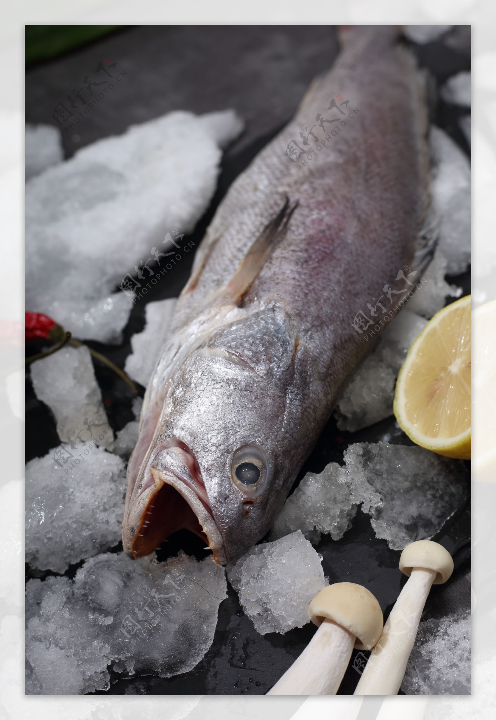 海鲜食物海鲜类食品18