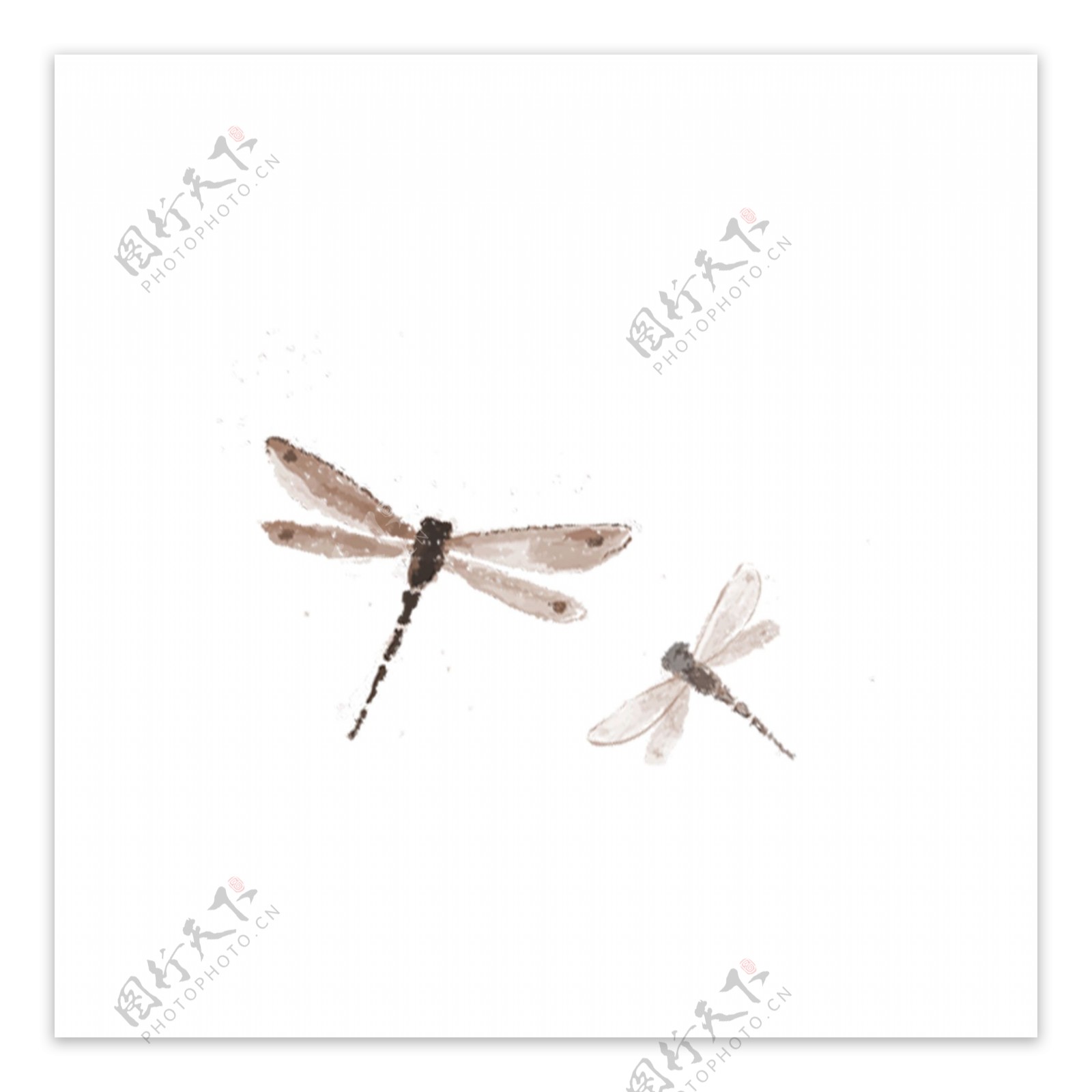 褐色小蜻蜓装饰元素