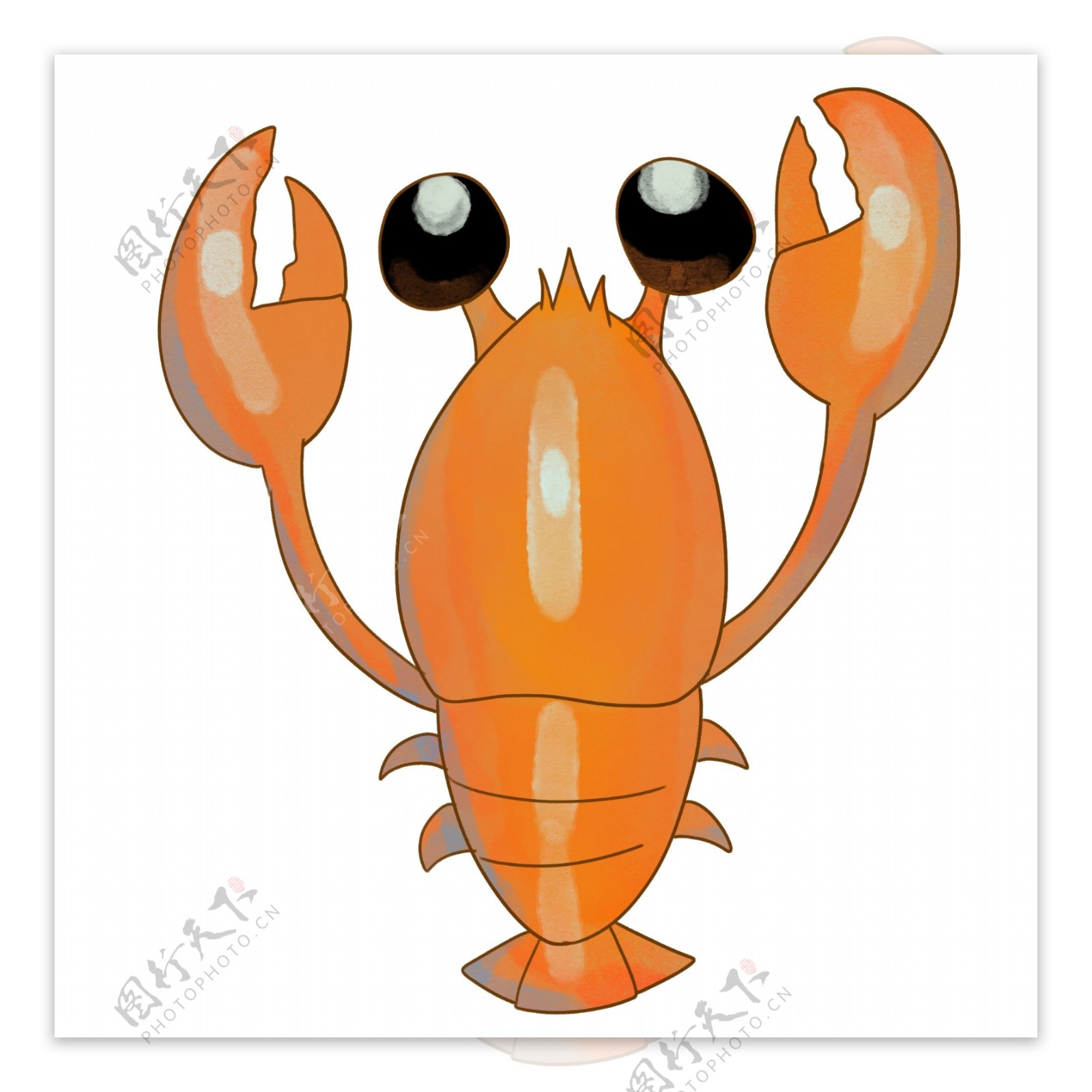 立体红色小龙虾插图