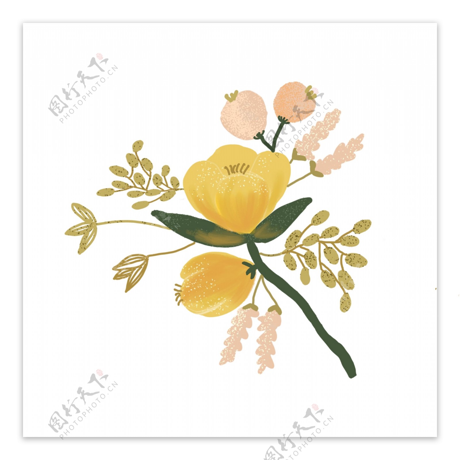 黄色花朵装饰插画
