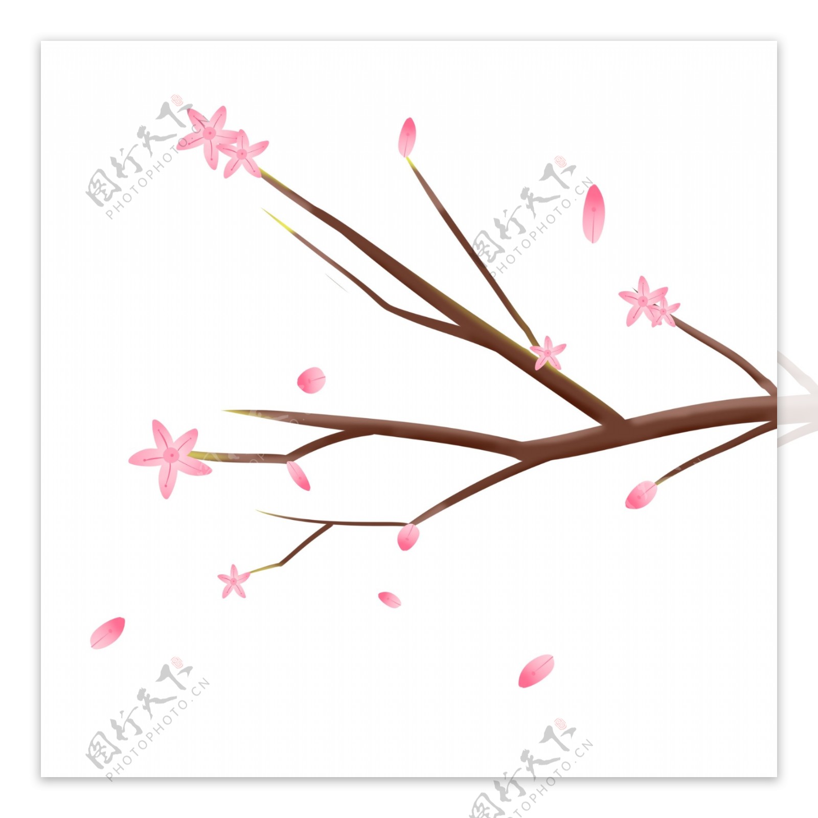 粉色花朵花枝插画