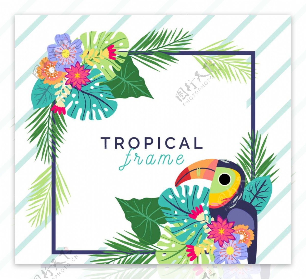 热带花卉和巨嘴鸟框架