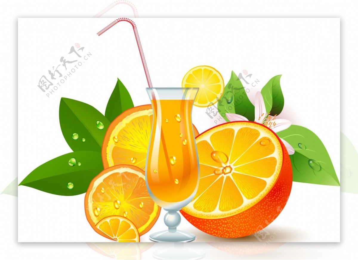 精美水果杯新鲜橙子美味设计素材