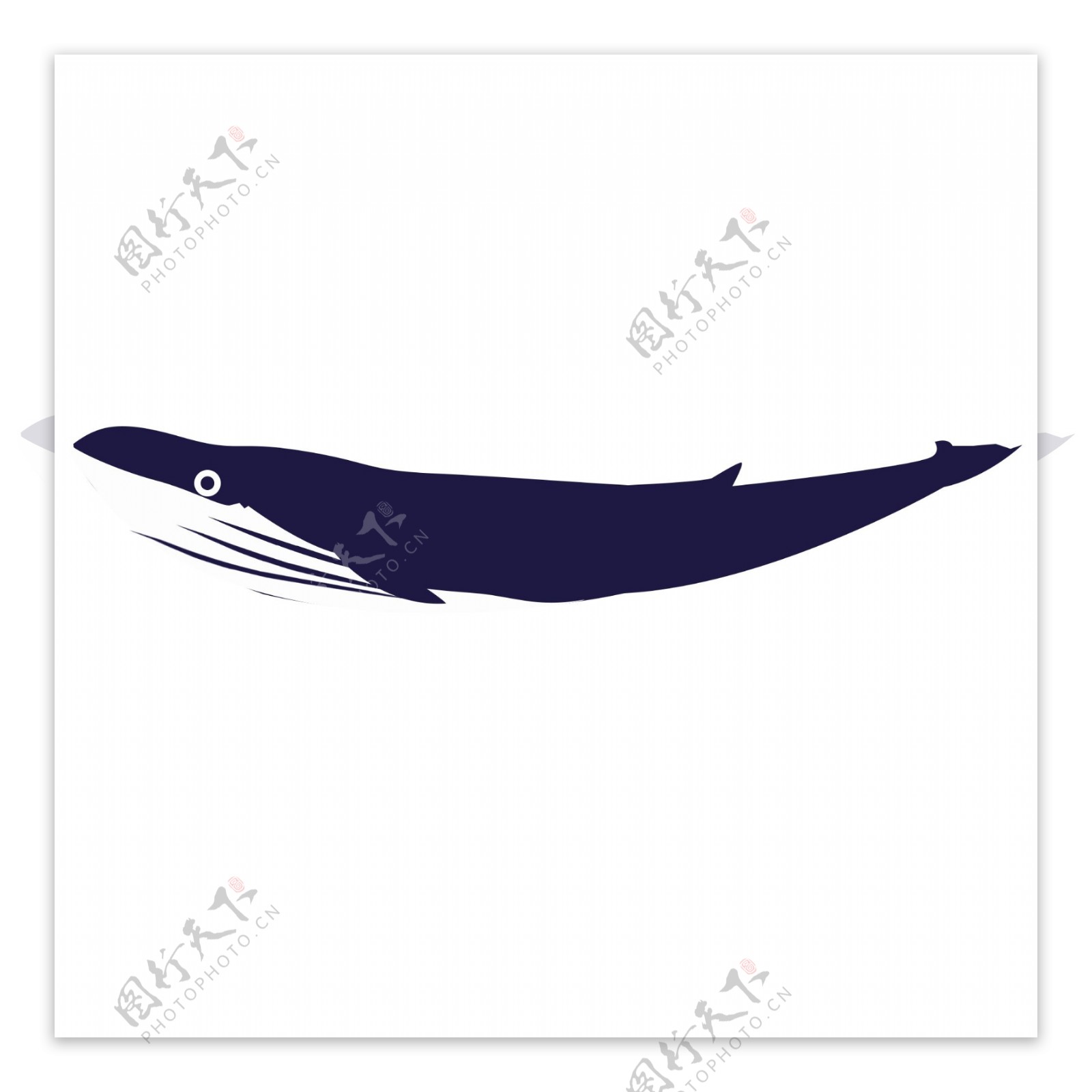 唯美清新蓝色鲸鱼透明素材