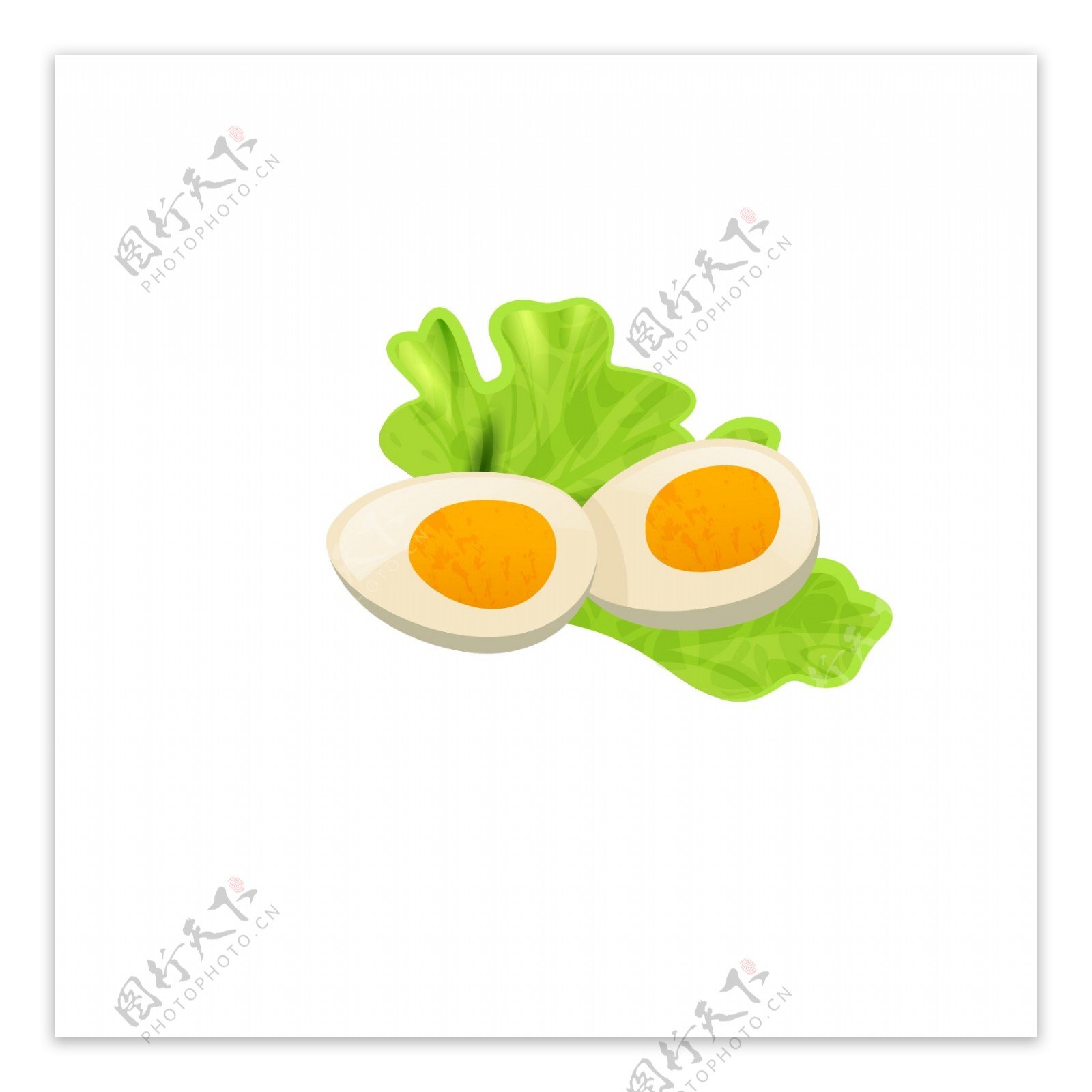 鸡蛋和生菜矢量卡通
