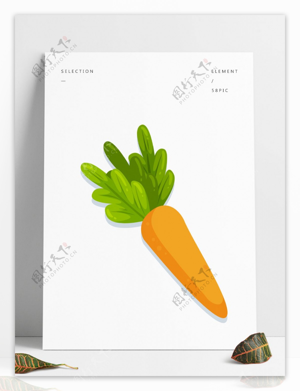 矢量手绘植物蔬菜胡萝卜