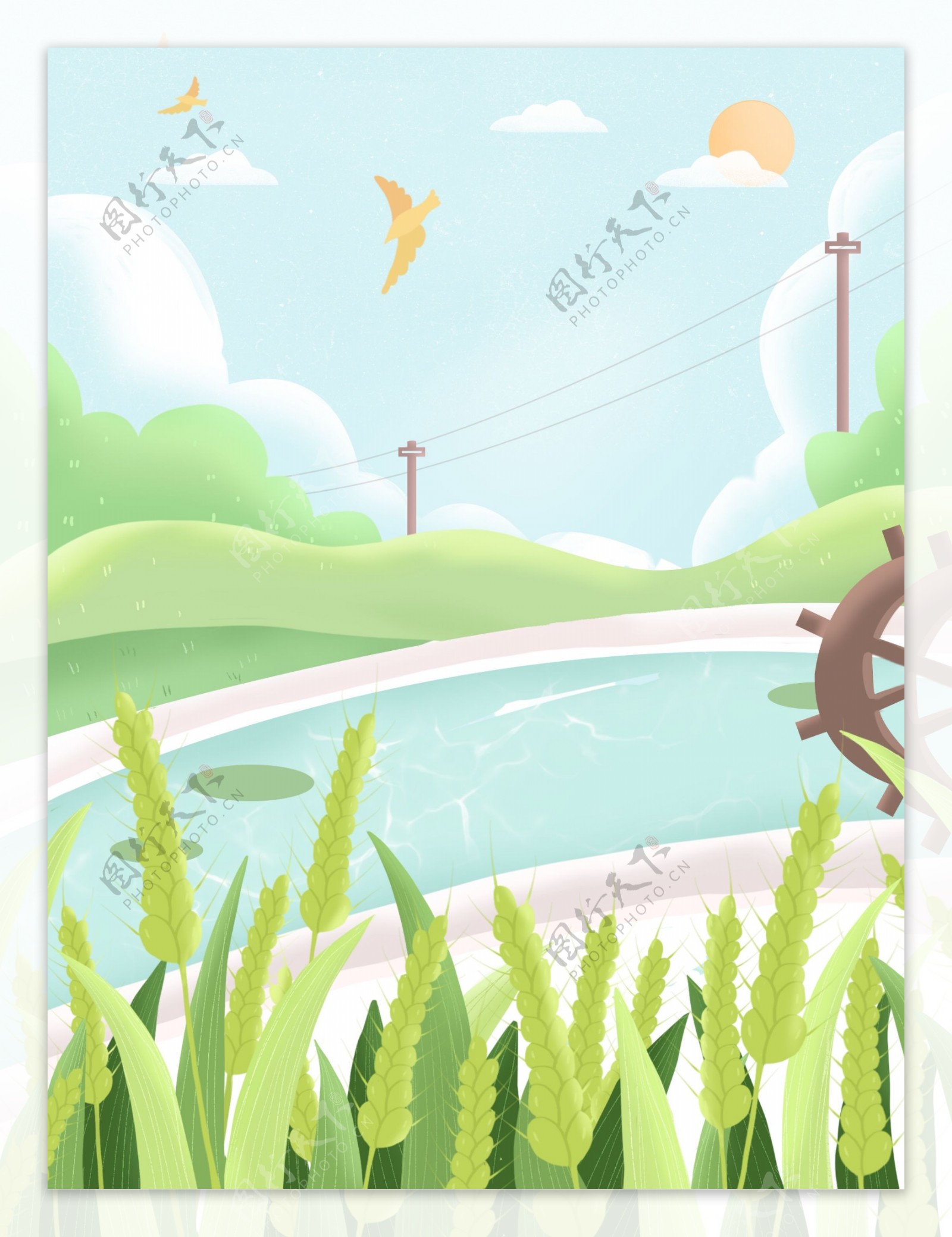 手绘夏季池塘边的小麦背景设计