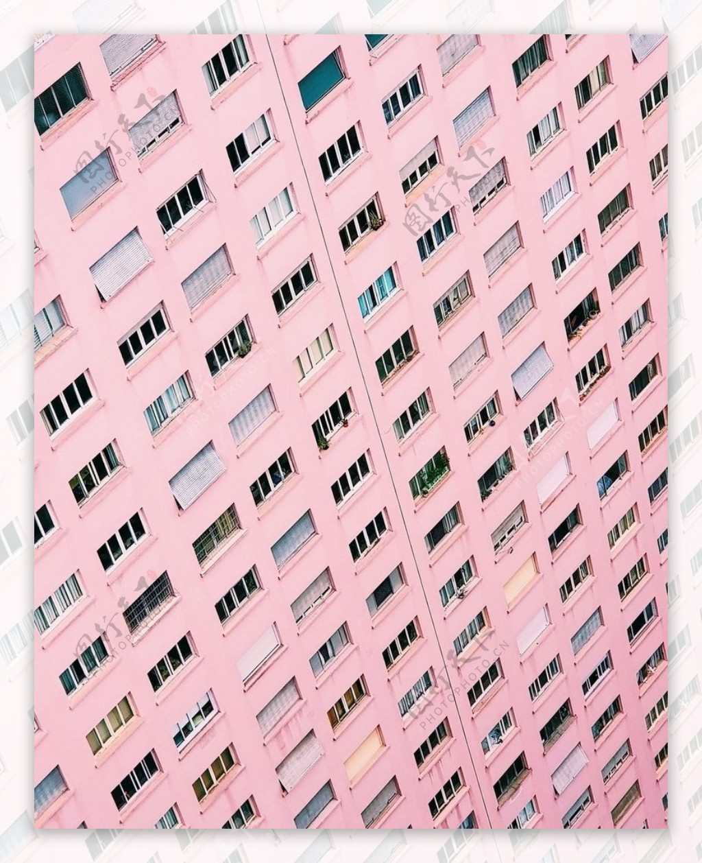 粉红的屋