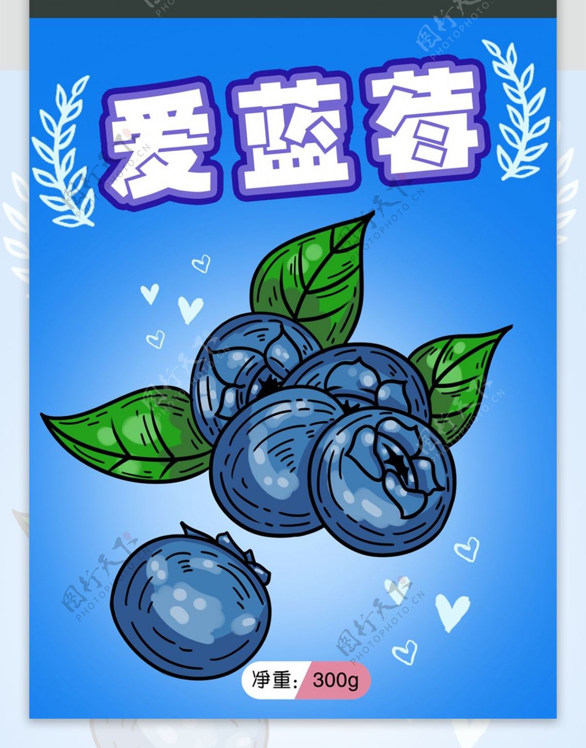 食品包装零水果干食蓝莓插画