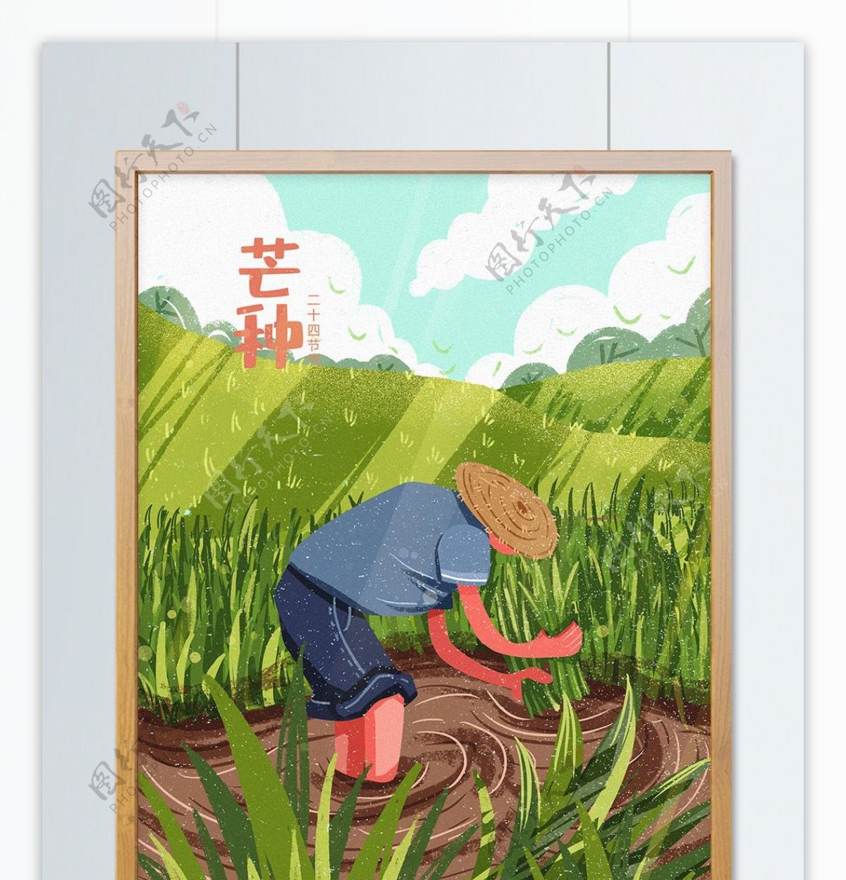 二十四节气芒种种水稻插画