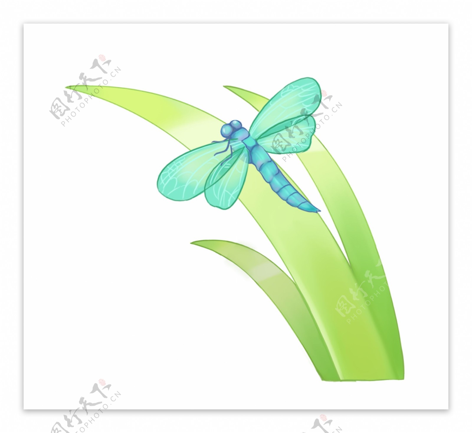 蓝色蜻蜓和绿叶
