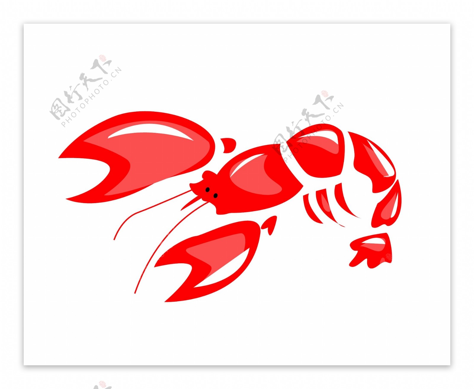 动物红色小龙虾