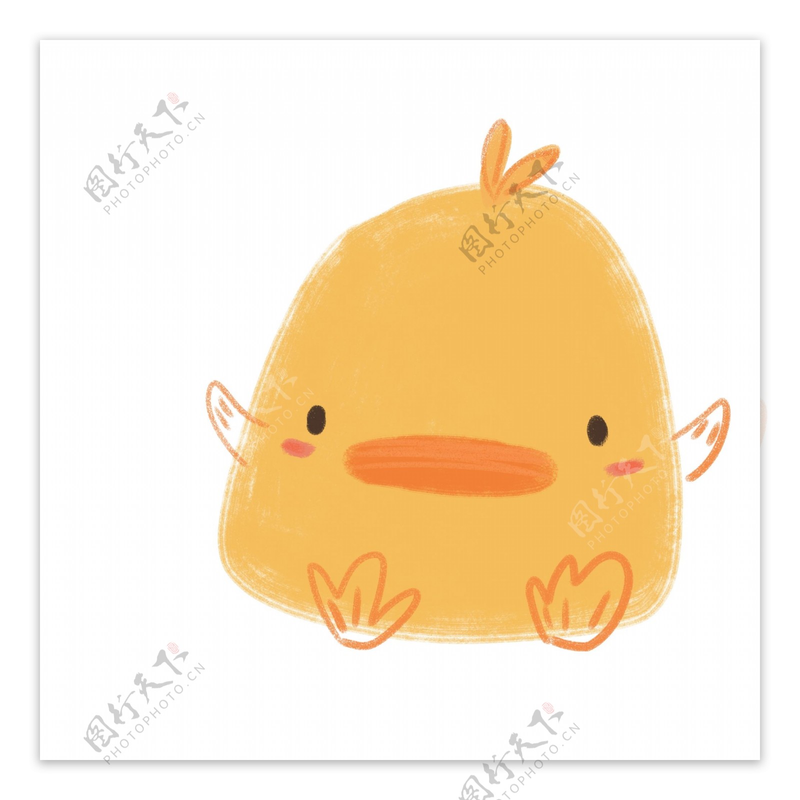 动物黄色小鸭子