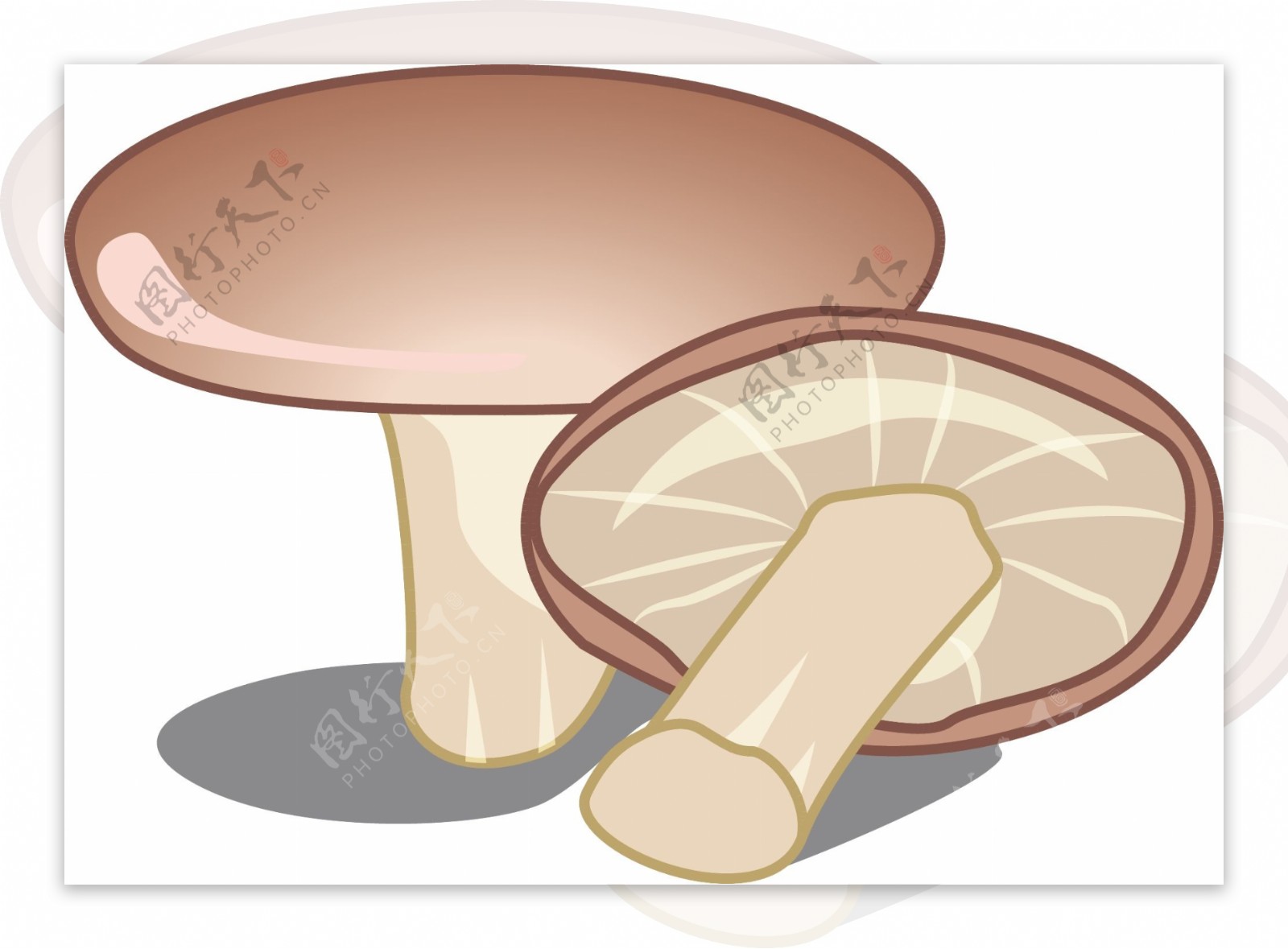 扁平山间蘑菇