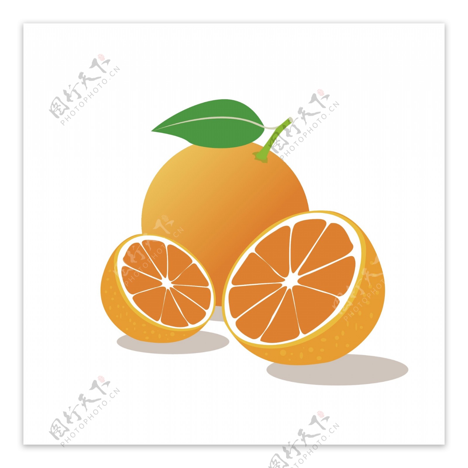 矢量橙子水果夏天素材必备