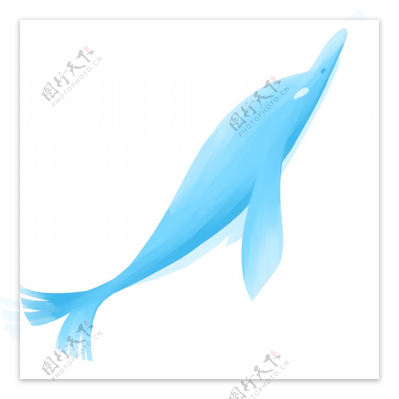 蓝色海豚鲸鱼插画