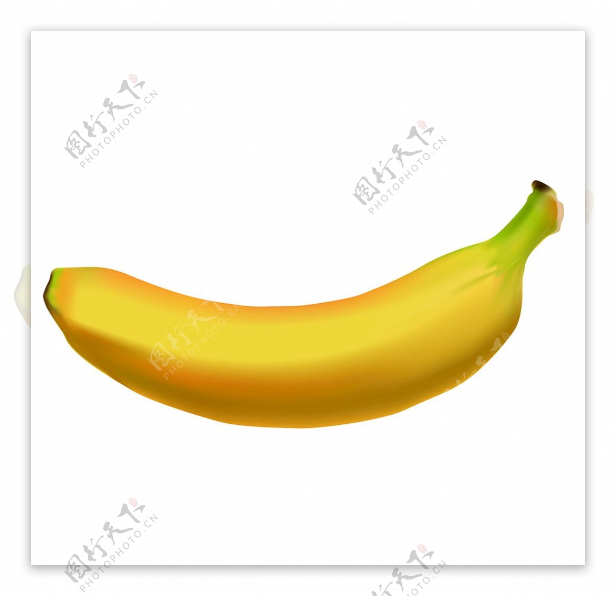 香蕉效果图
