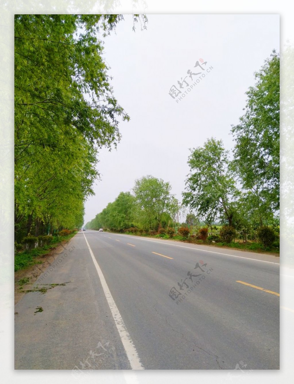 乡村道路风景