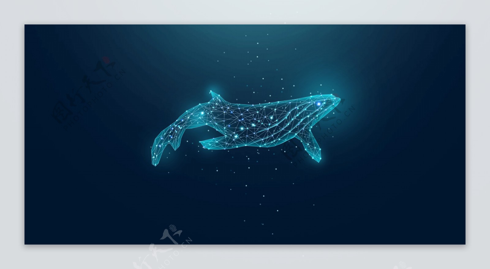 海洋鲸鱼抽象光点背景