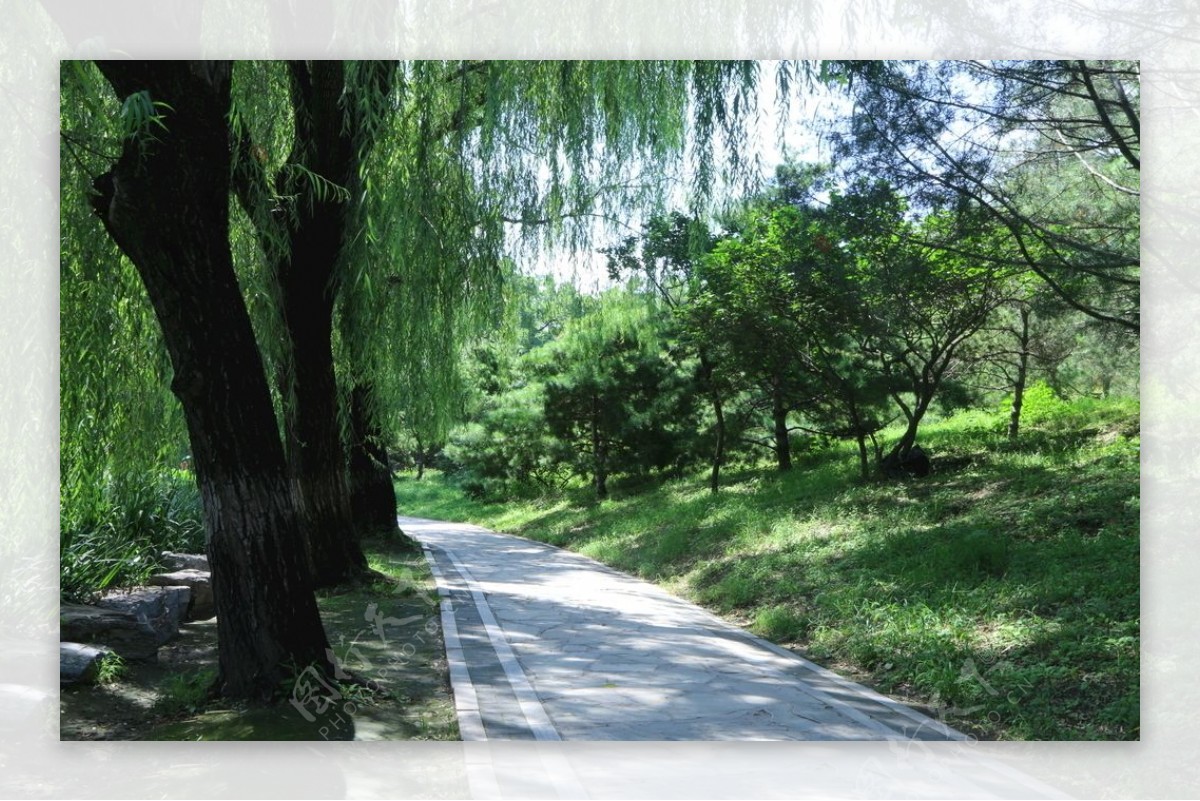 圆明园风景