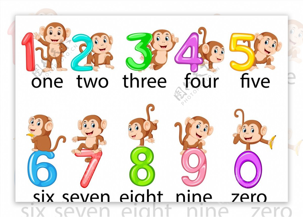 猴子数字