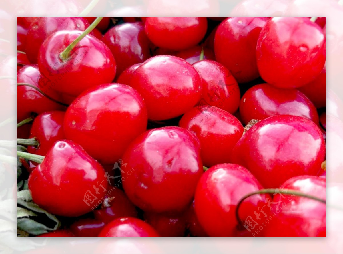 水果红色樱桃