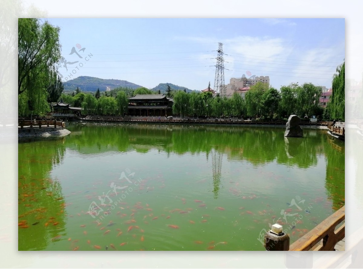 中国最大人工湖 被誉为“天下第一秀水” 因湖中有千座岛屿而得名_千岛湖