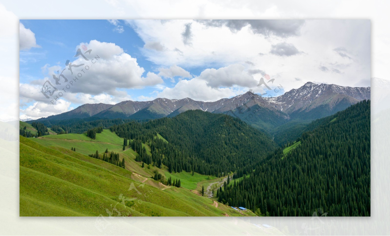 新疆科克尔斯陶牧区风景