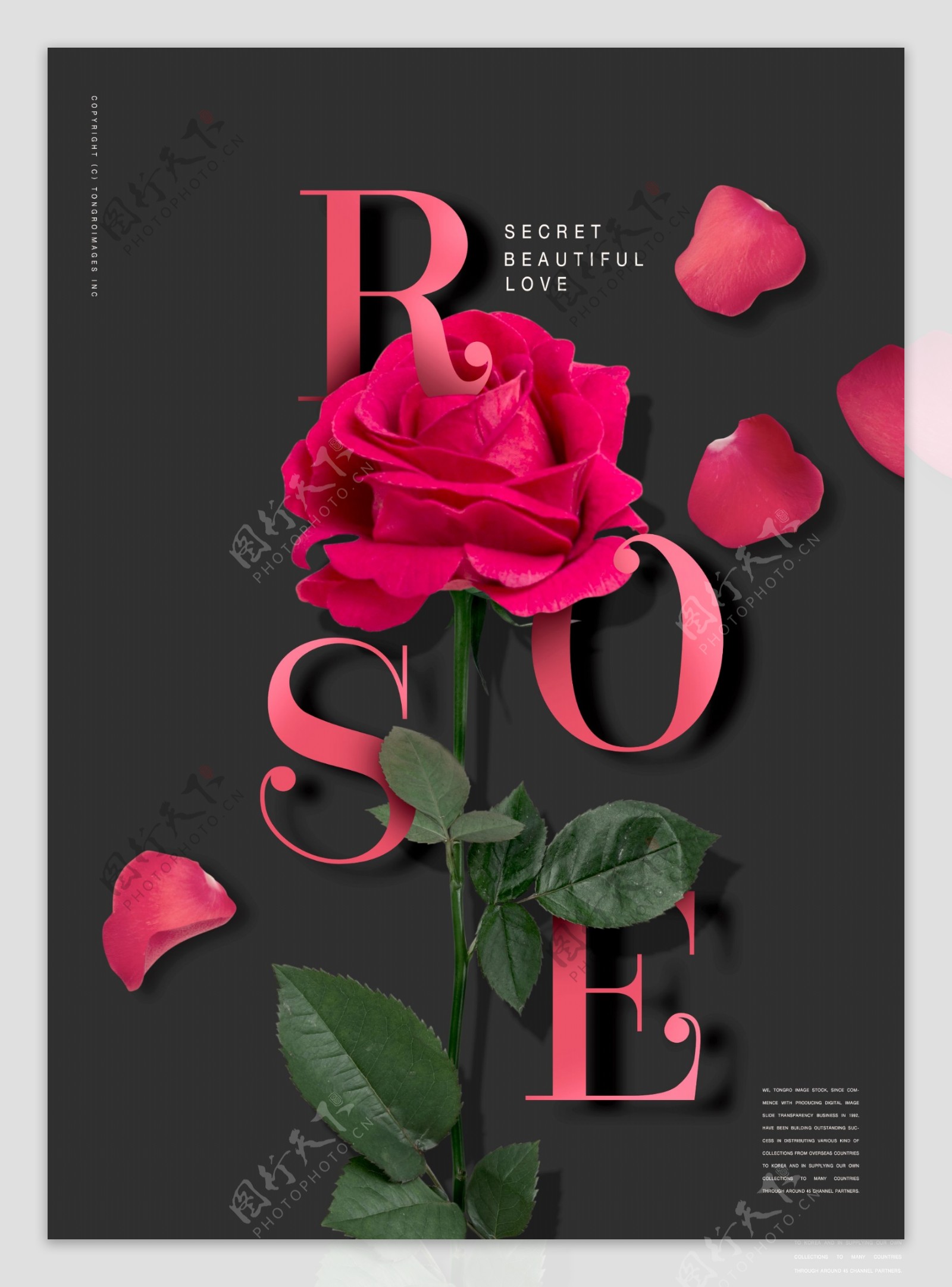 玫瑰花花创意海报