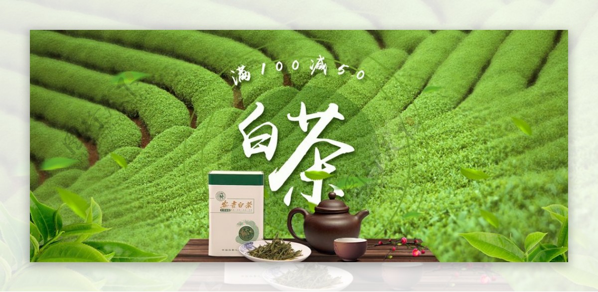 中国风茶叶banner