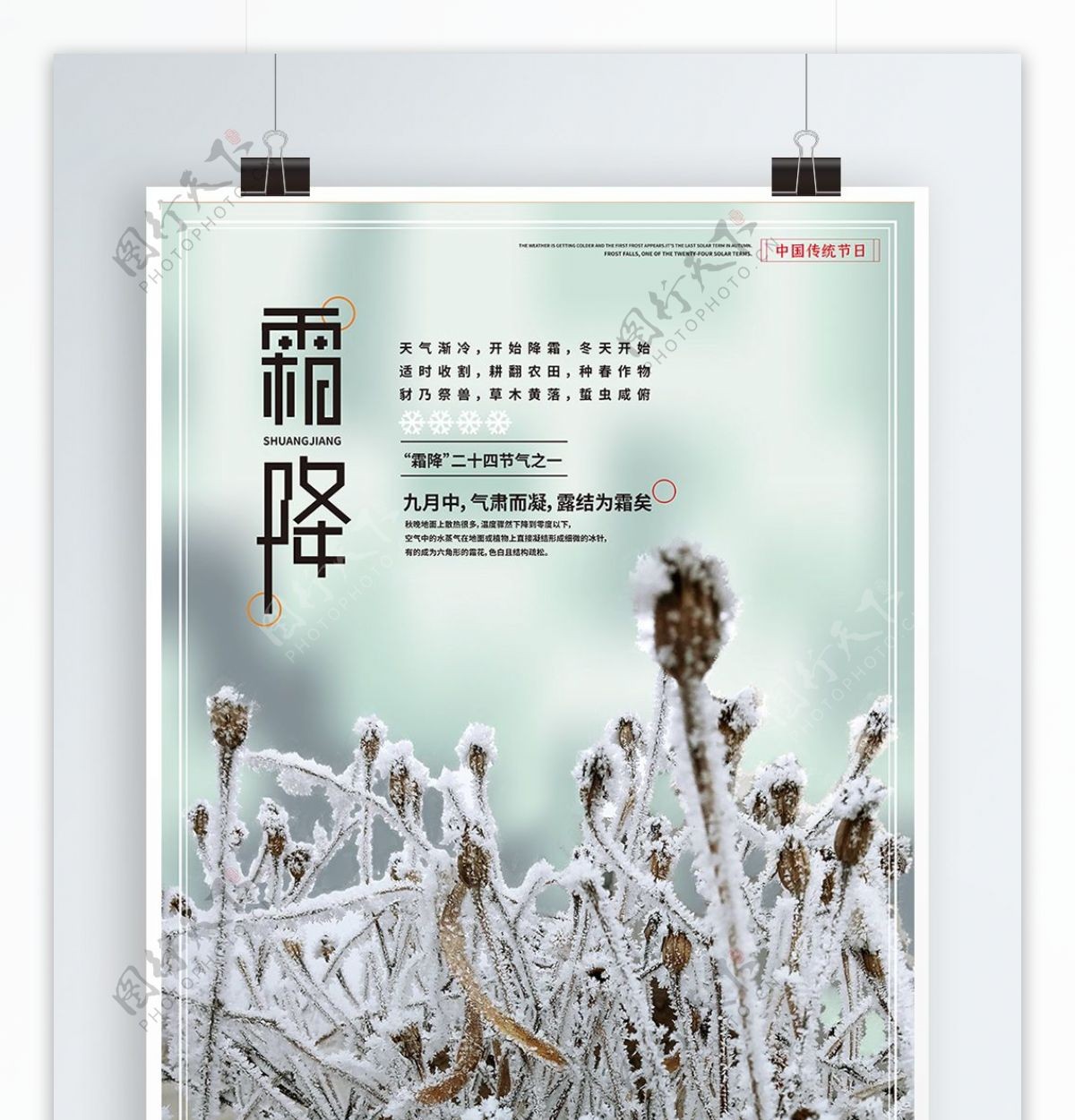 霜降24节气摄影图创意海报