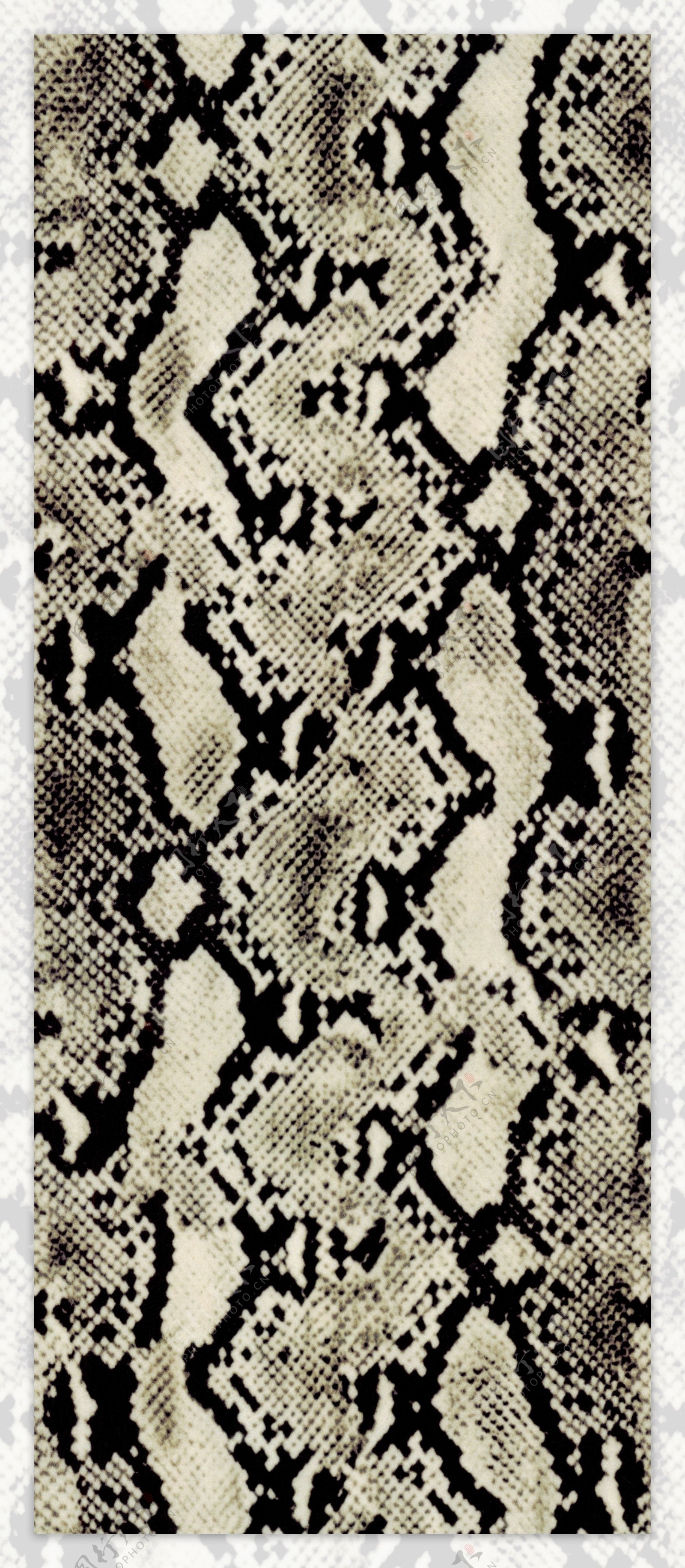 蛇皮数码印花蛇纹