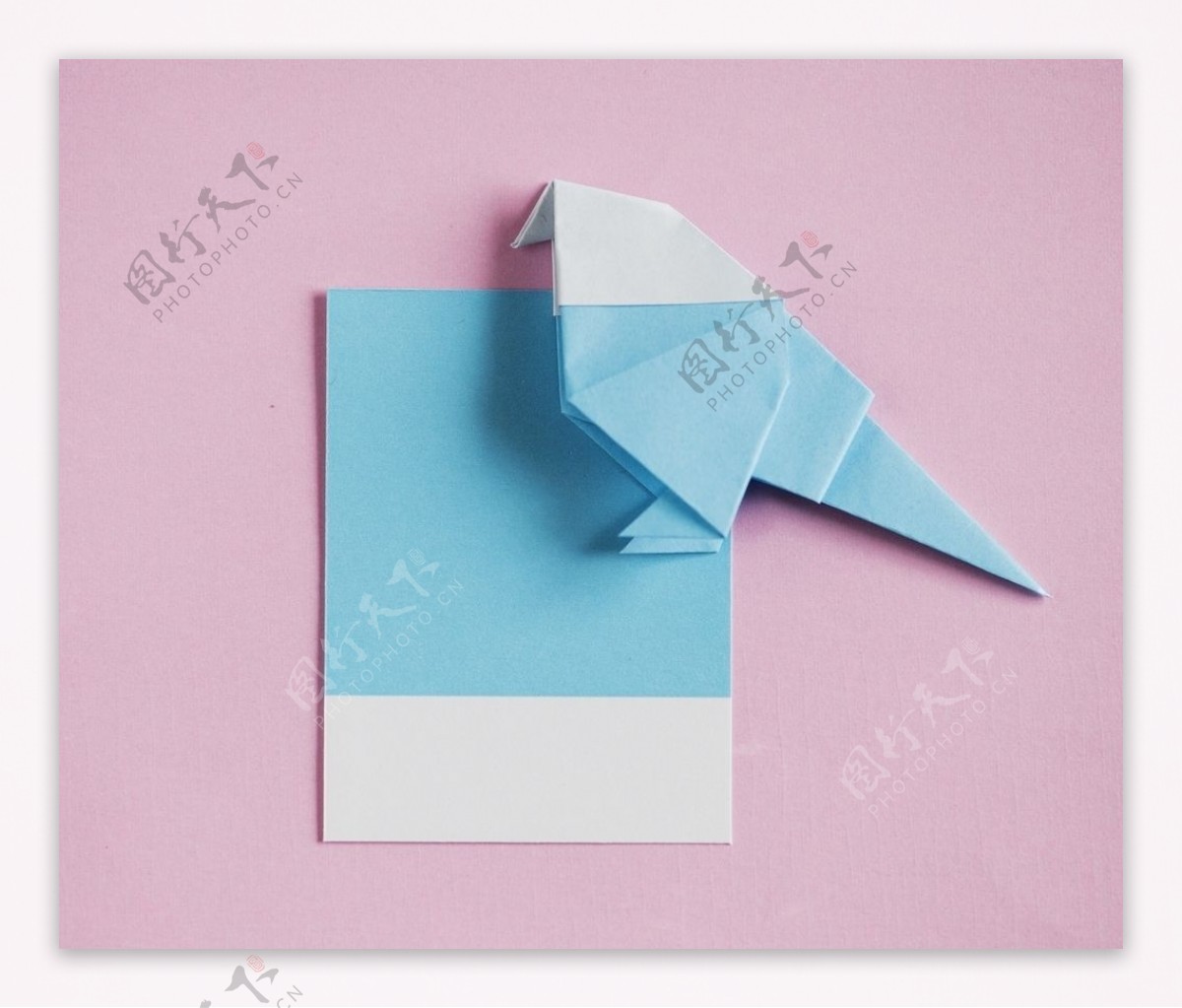 被折叠的纸鸟