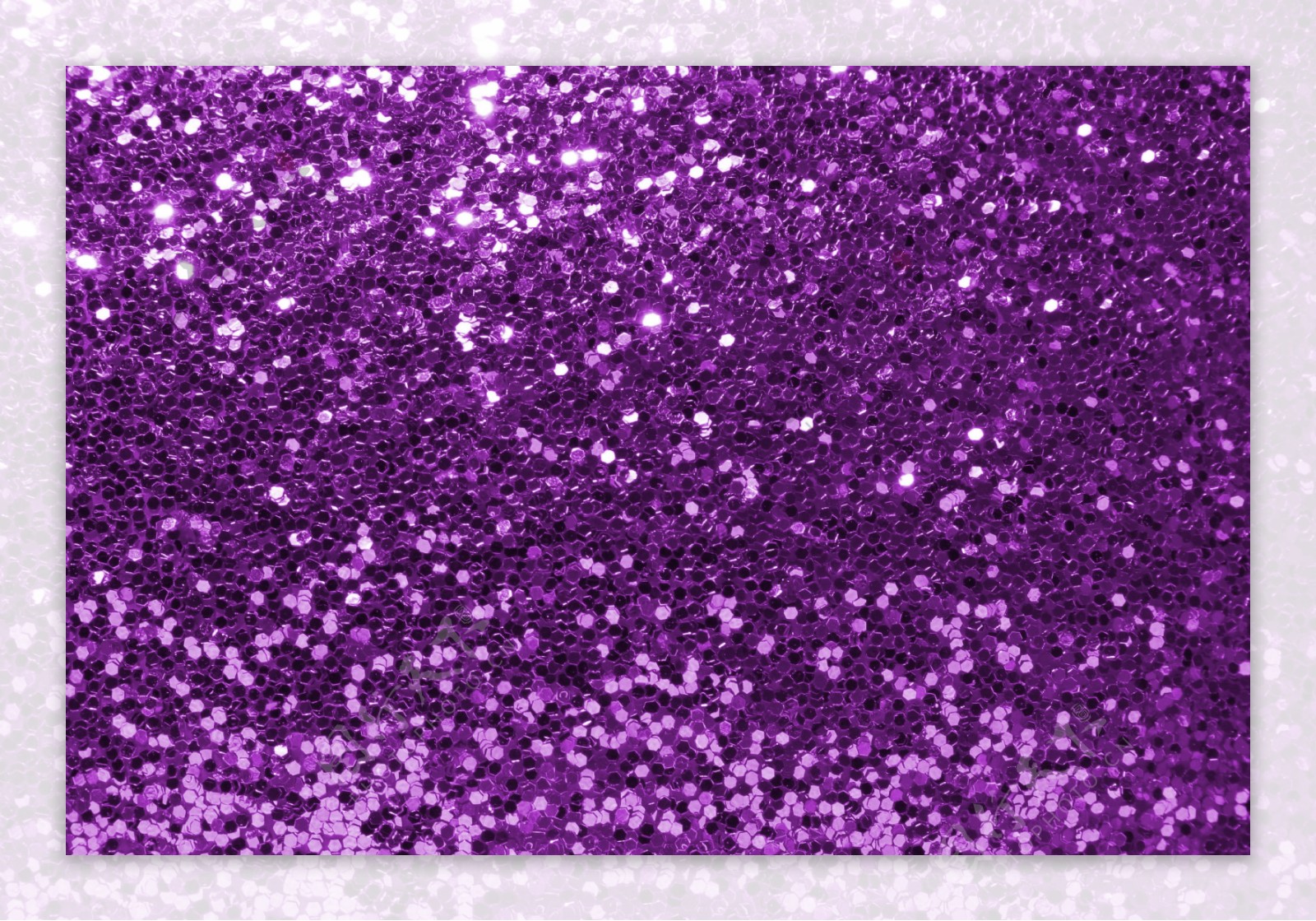 紫色格利特