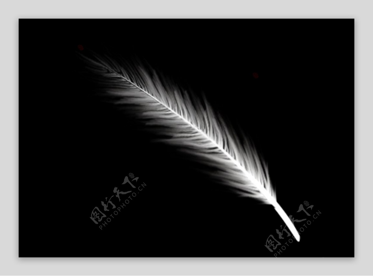 插圖羽毛筆在黑白輪廓素描中繪製的裝飾羽毛 向量, 簡單的羽毛畫, 簡單的羽毛輪廓, 簡單的羽毛素描向量圖案素材免費下載，PNG，EPS和AI ...