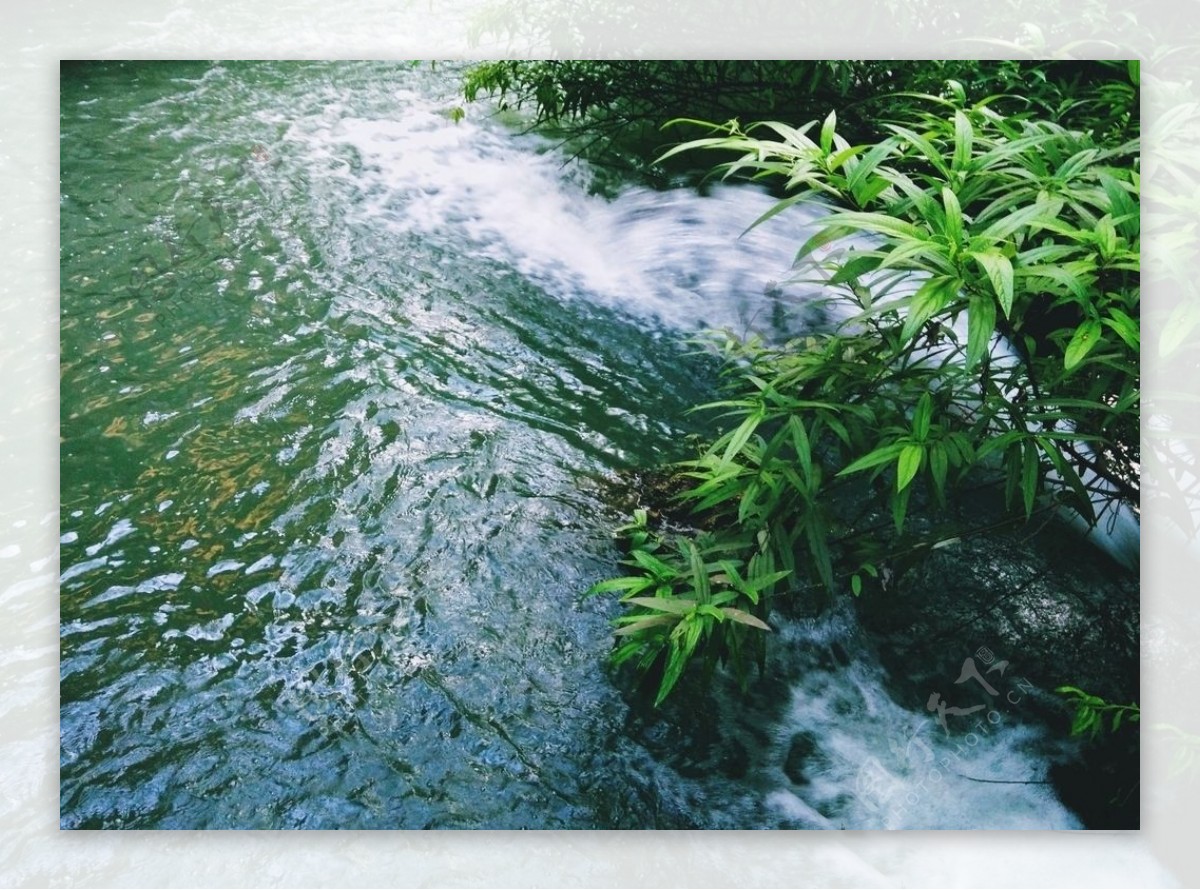 锦里古街流水河水绿植