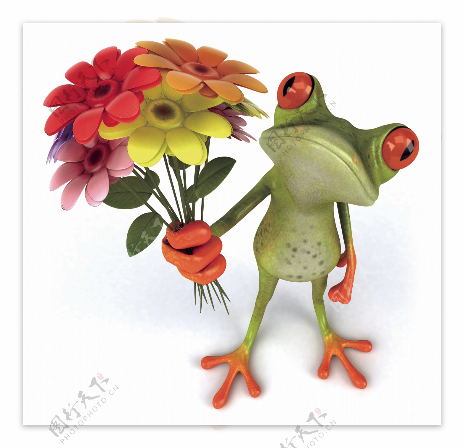 青蛙献花