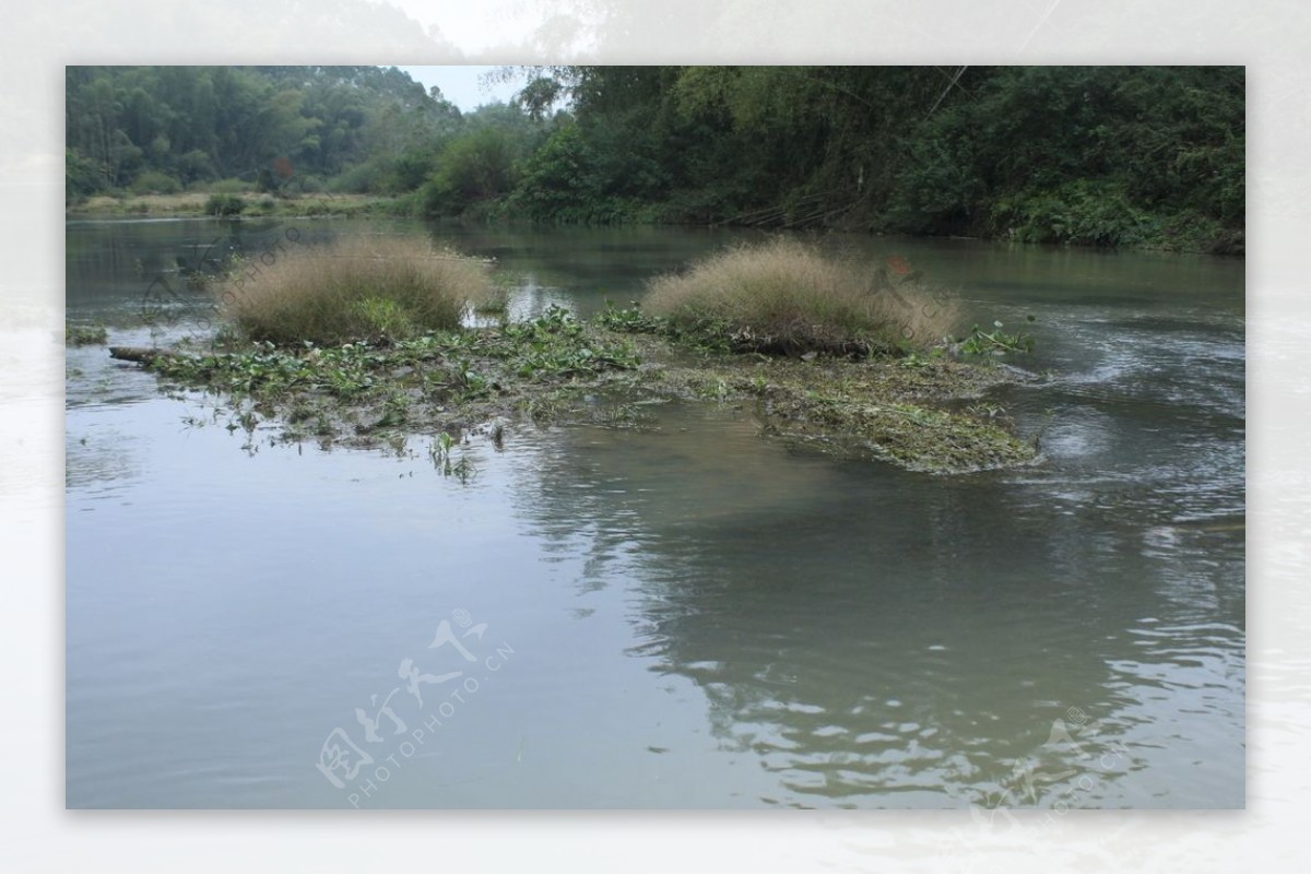 小董镇罗屋地村河水河流