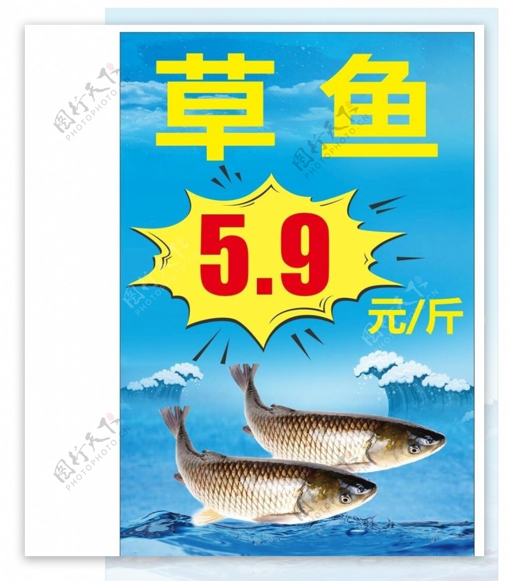 水产草鱼海报